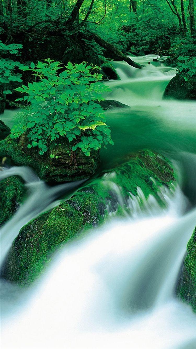 750x1334 Jungle Waterfall Landscape IPhone 6 6S 7 Wallpaper And IPhone 8