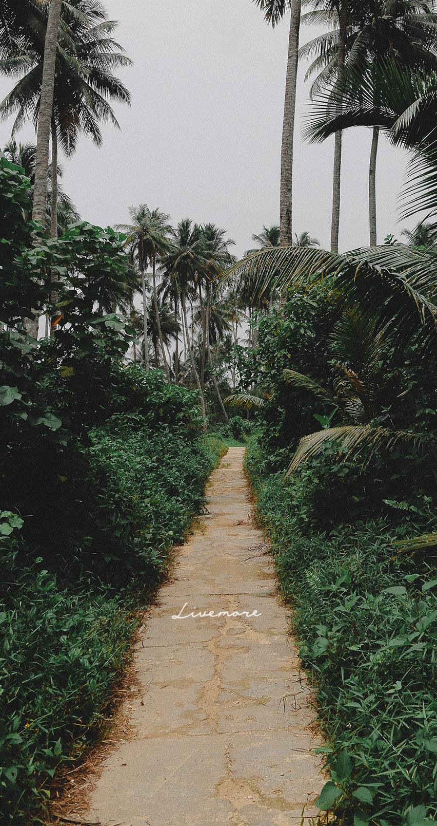 852x1608 Surf Wallpaper, Ecuador, Bali Surf Travel