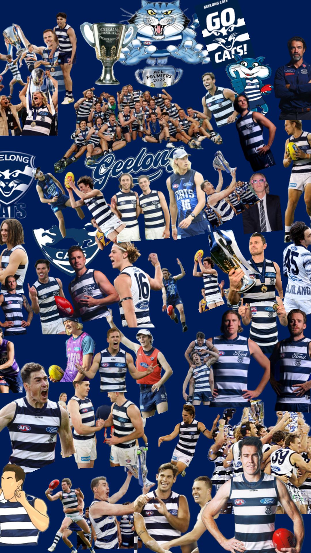 1080x1920 Geelong Cats ideas. geelong cats, geelong, cats