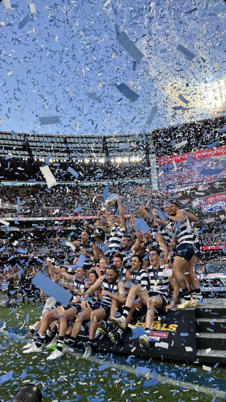 736x1305 afl phone wallpaper random things. Geelong cats, Geelong cats football, Geelong football club