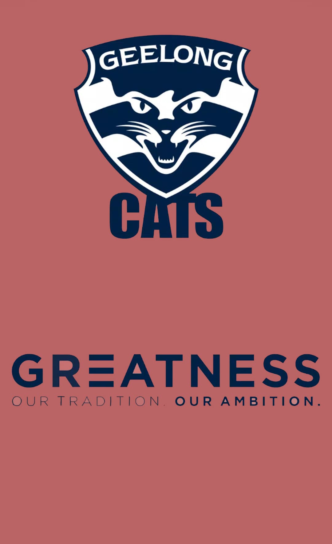 1080x1772 Geelong Cats Wallpaper