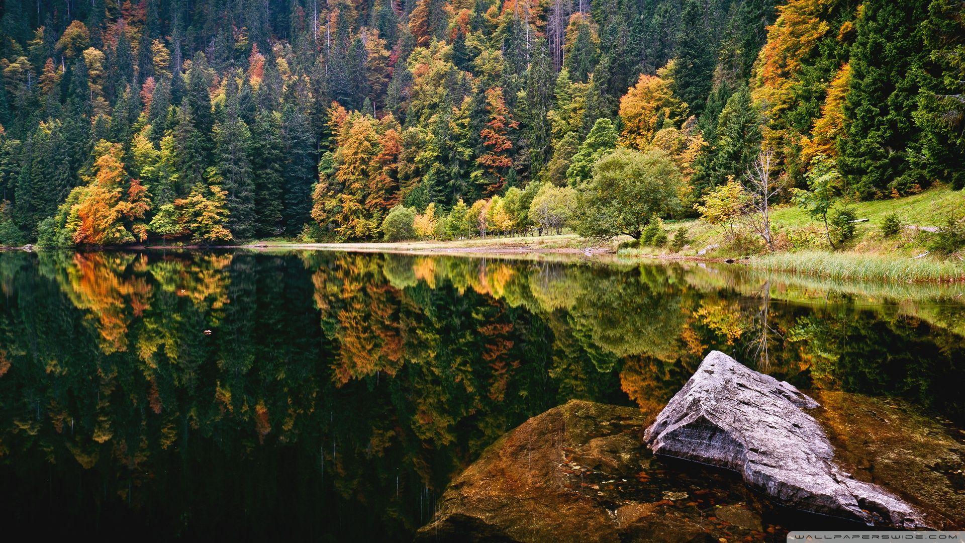 1920x1080 Autumn Reflection Lake Wallpaper