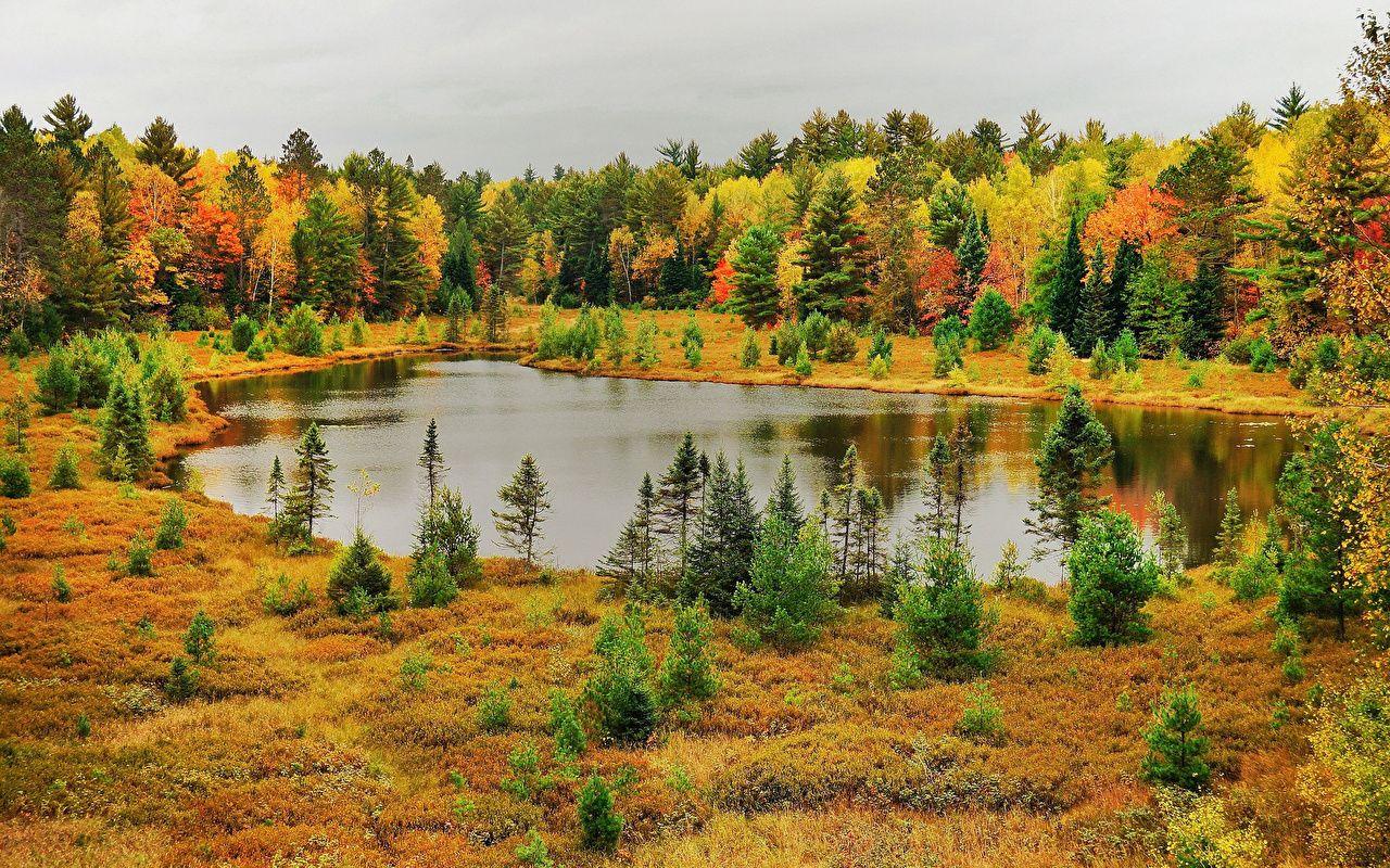 1280x800 Image Nature Autumn Lake forest Seasons