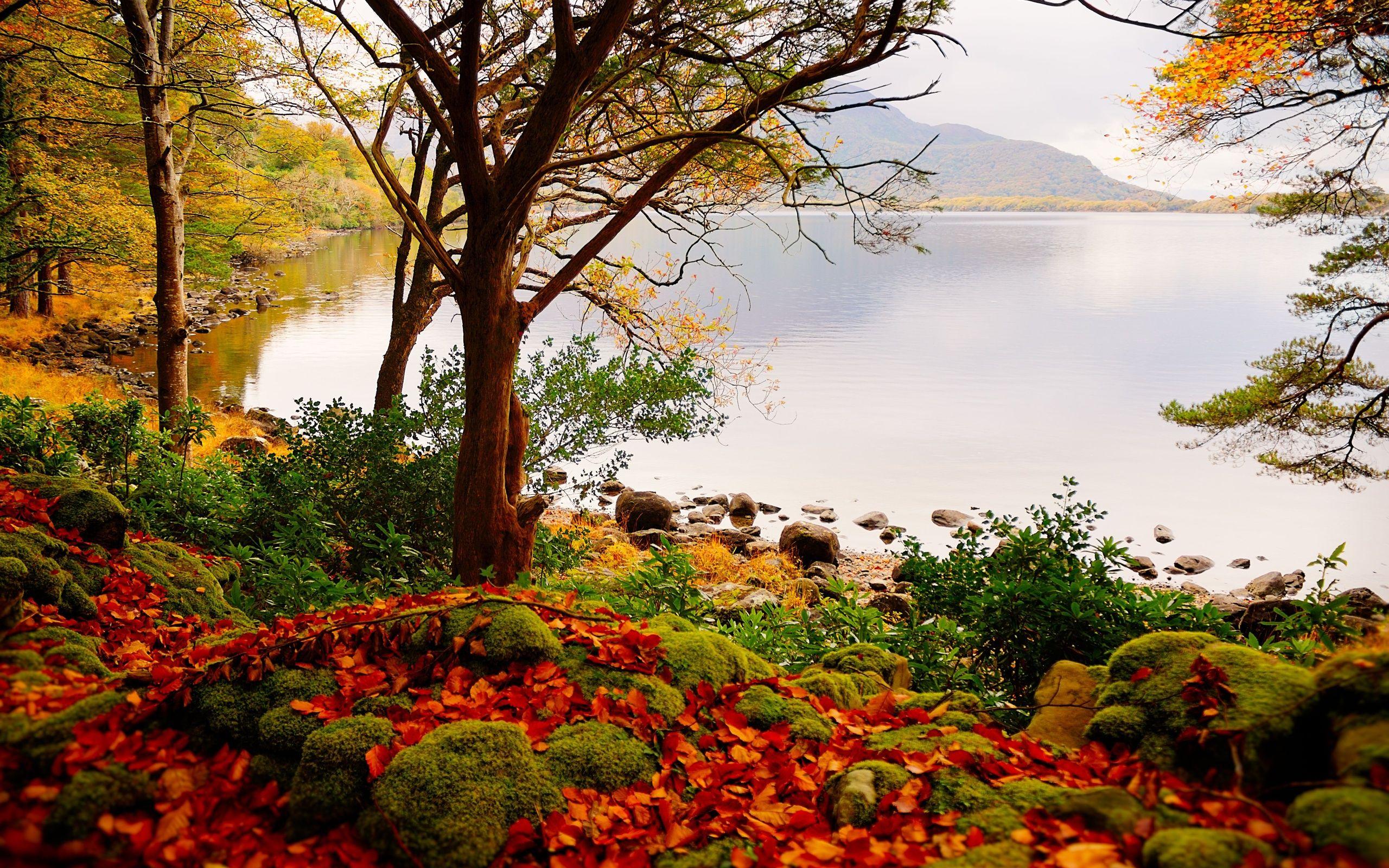 2560x1600 Autumn lake trees landscape wallpaperx1600