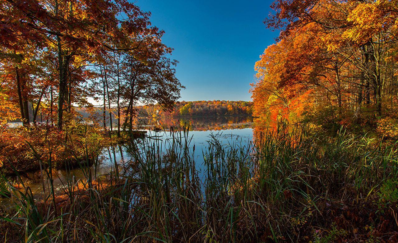 1280x782 Desktop Wallpaper USA Ice Lakes Colorado Nature Autumn Lake Grass