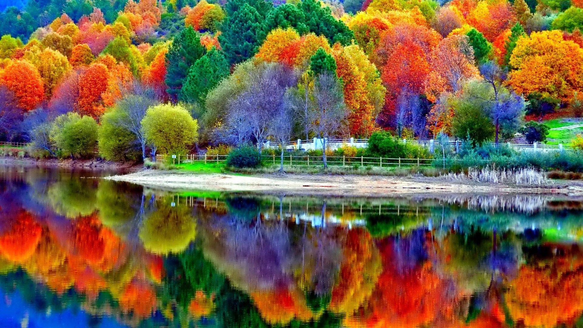 1920x1080 Beautiful Autumn Lake Scenery Wallpaper Fall Computer