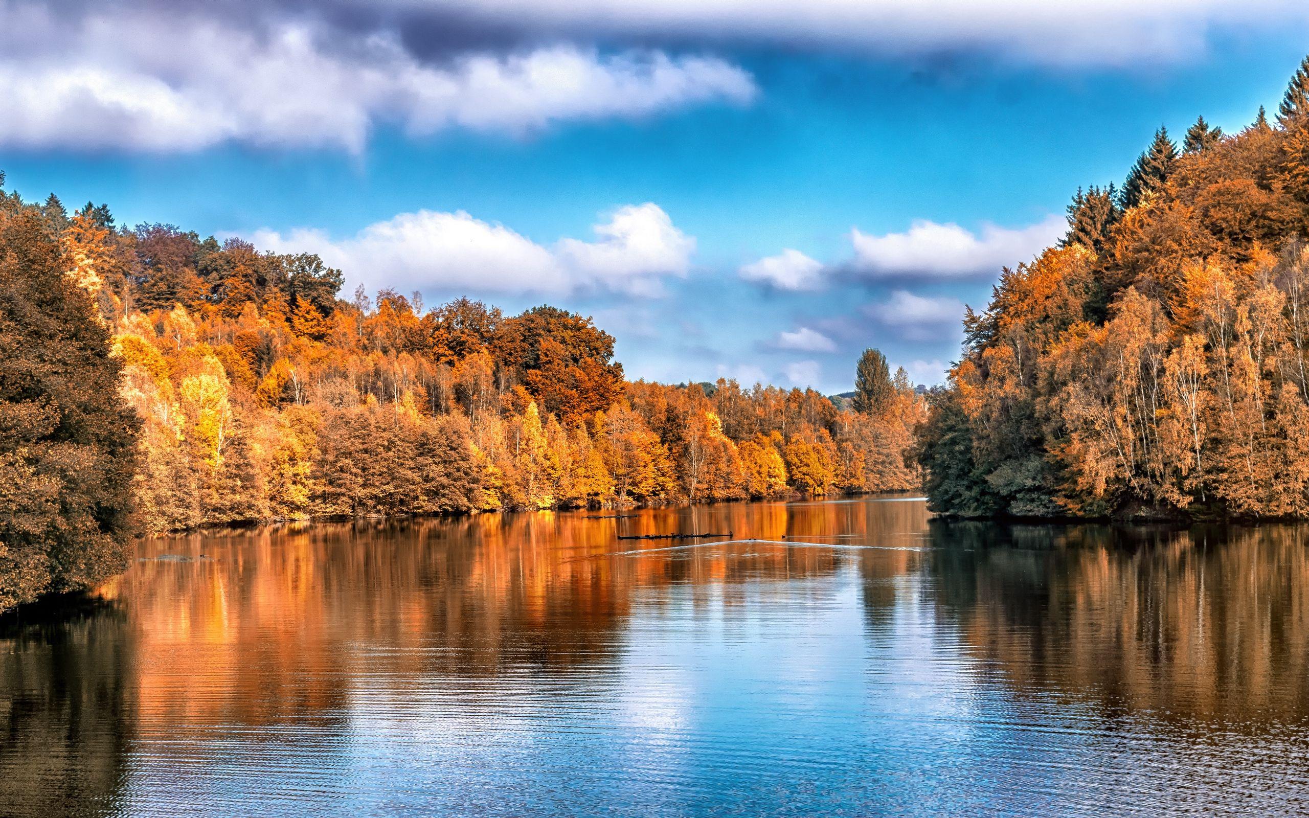 2560x1600 Download wallpaper 2560x1600 autumn, lake, trees, reflection