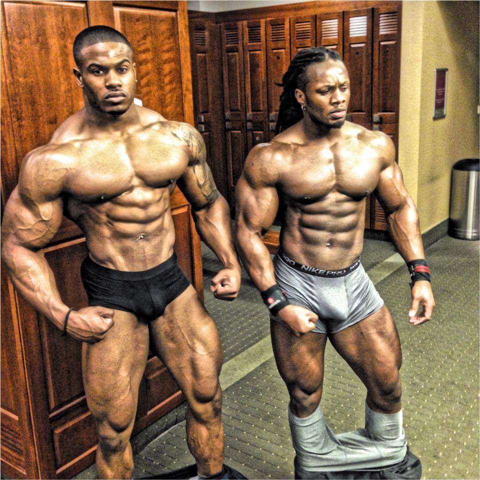 960x960 Simeon Panda Chest Training