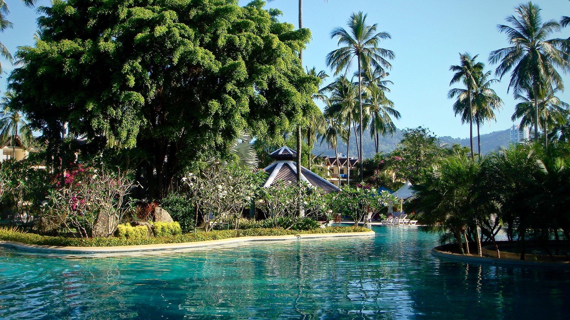 1920x1080 Download wallpaper 1920x1080 park, phuket, thailand, pool, palms full hd, hdtv, fhd, 1080p HD background