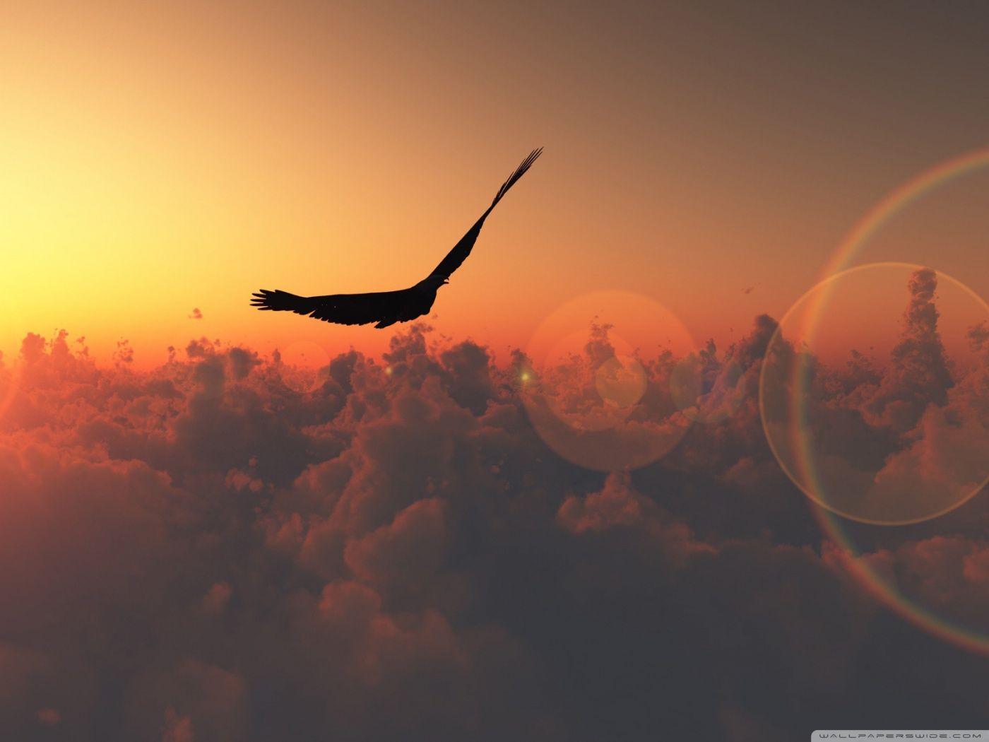 Flying 4K wallpapers for your desktop or mobile screen free and easy to  download