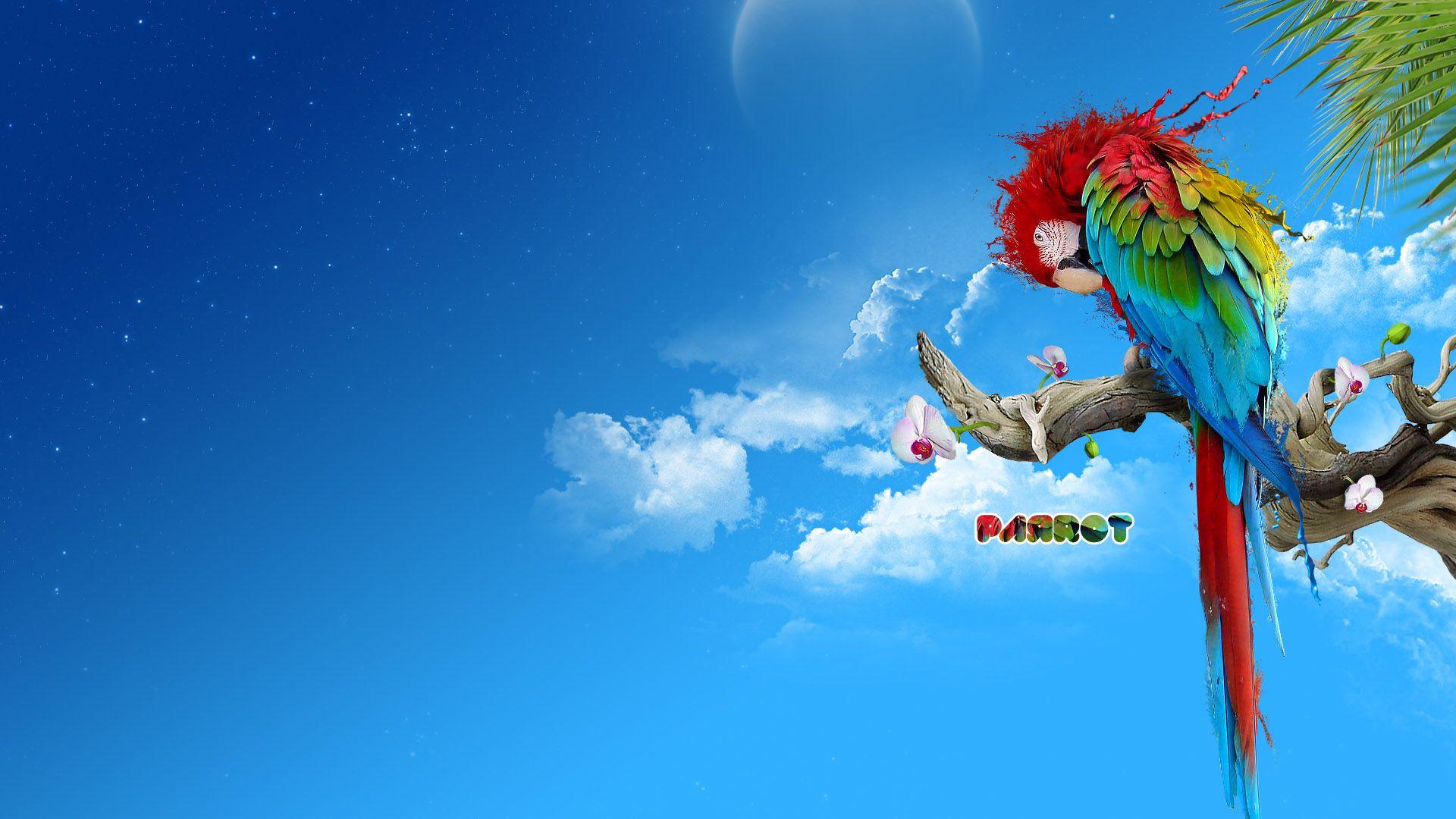 1920x1080 Windows 7 Wallpaper (25)