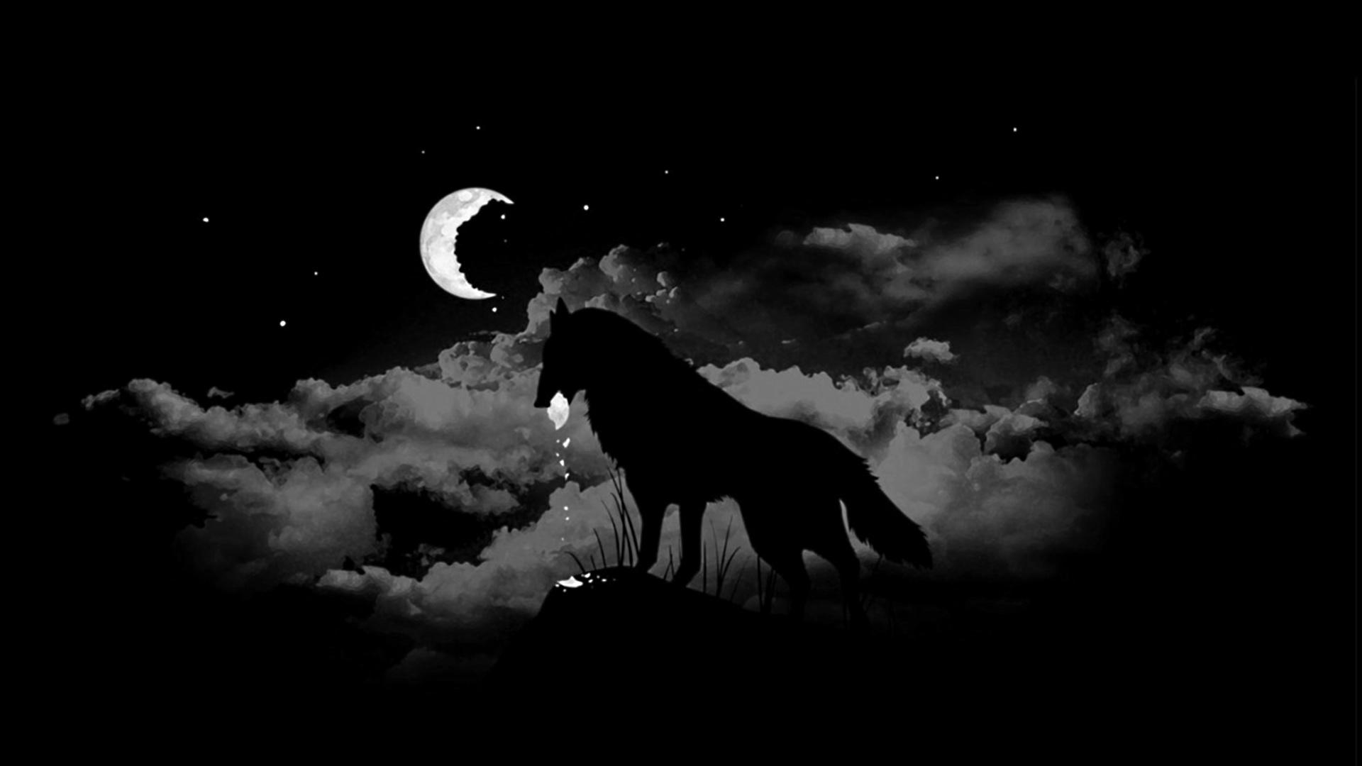 1920x1080 Alpha Wallpaper (1920x1080 px)