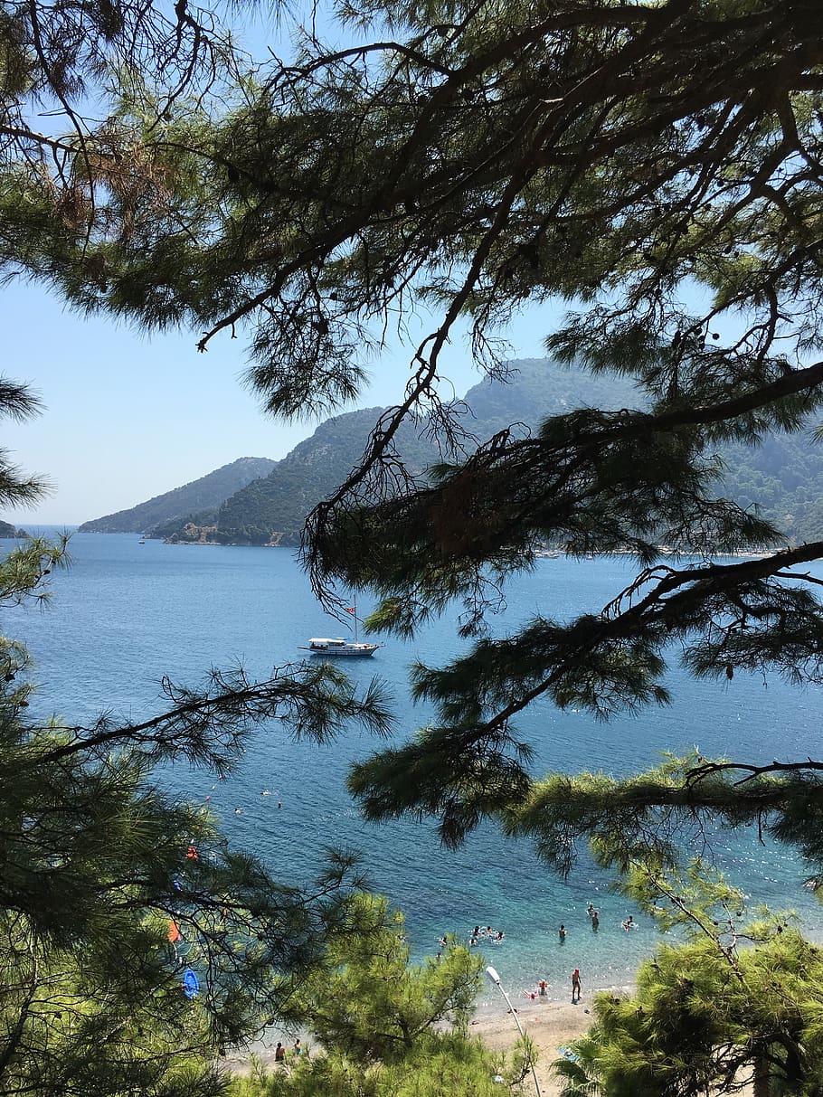 910x1213 HD wallpaper: turkey, icmeler, blue, tree, green, view, vacation