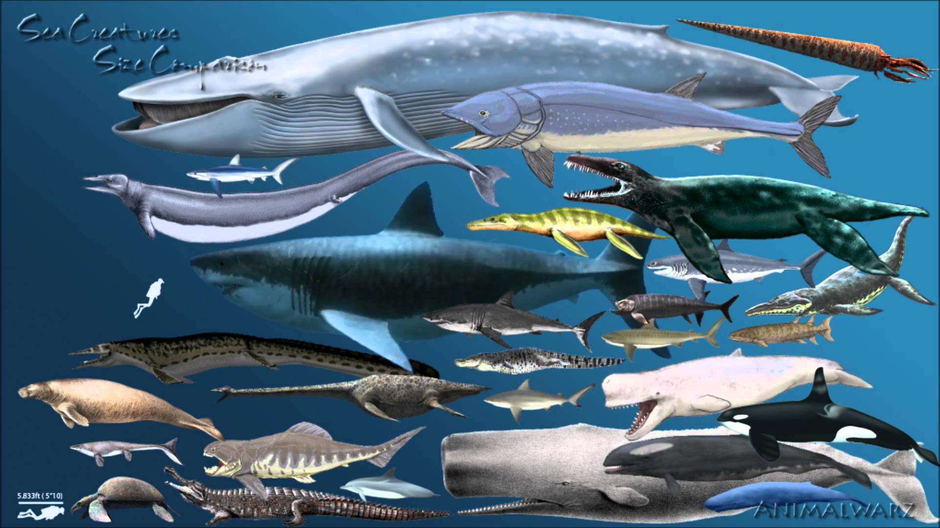 1920x1080 Megalodon wallpaperx1080