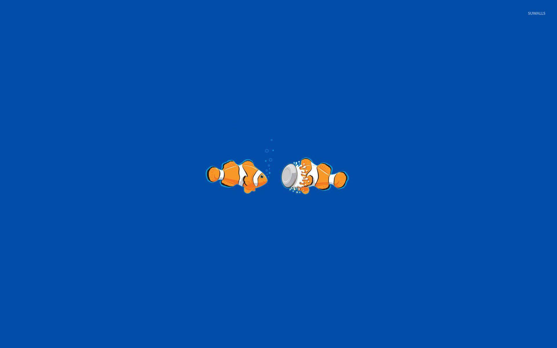 1920x1200 Clownfish wallpaper wallpaper