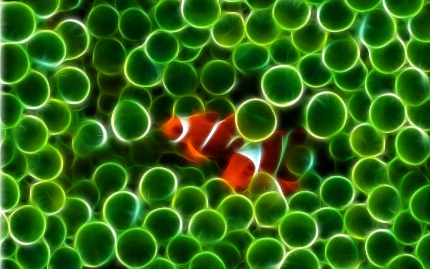 1440x900 Free download fractalius spirit clownfish deskx900