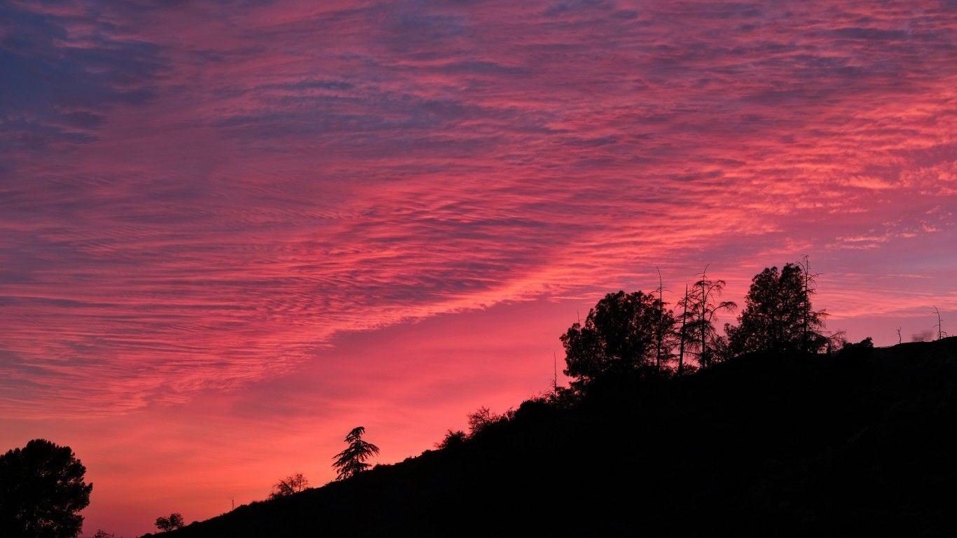 1366x768 Download 1366x768 Twilight, Clouds, Pink Sky, Trees Wallpaper