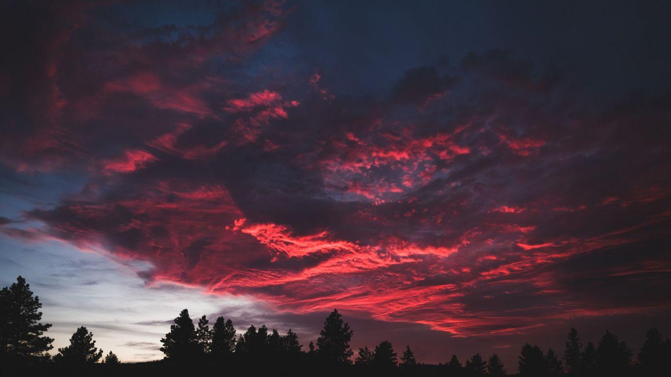1366x768 Download 1366x768 wallpaper colorful, clouds, sunset, dark, tree