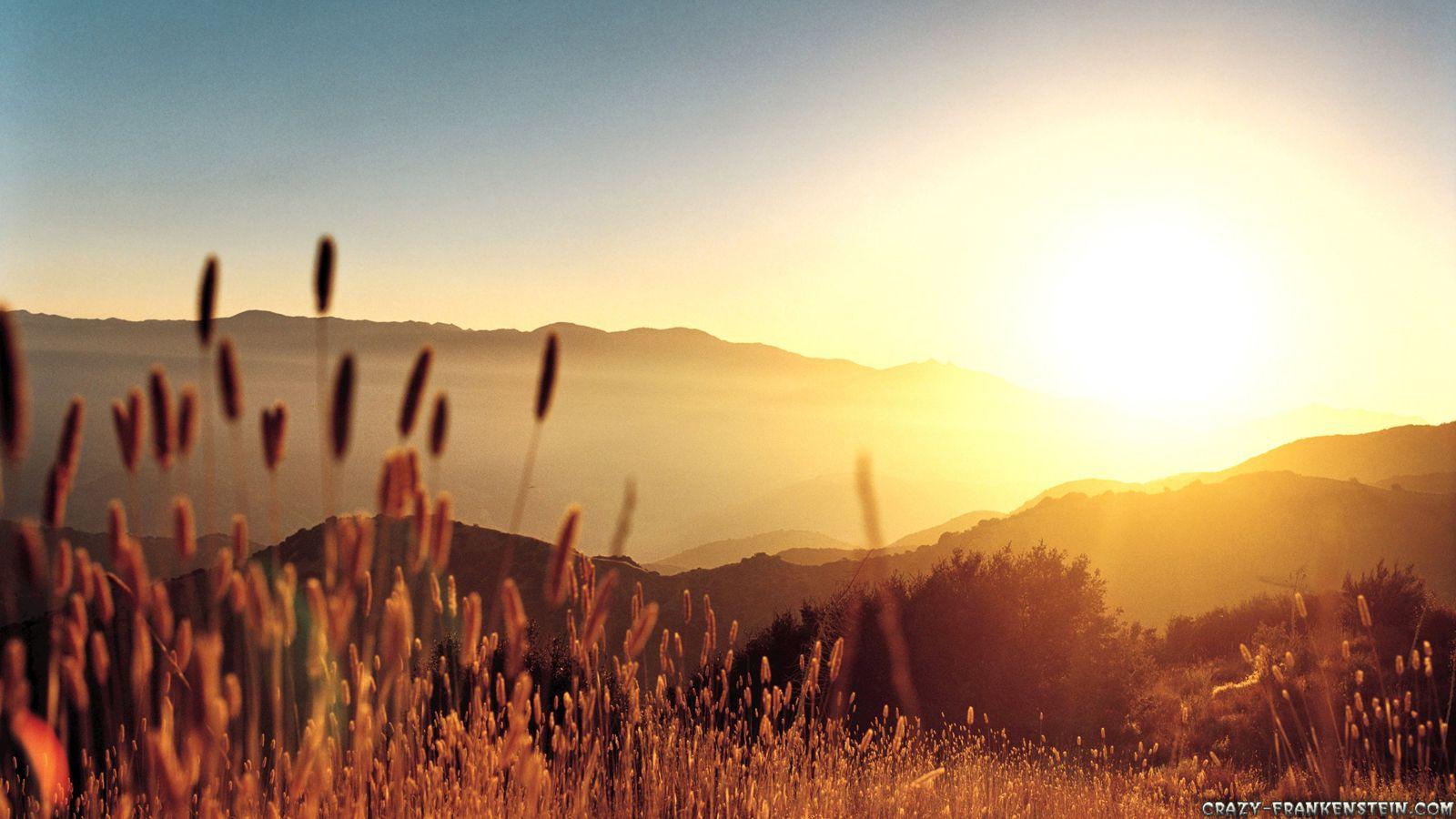 1600x900 Summer wallpaper