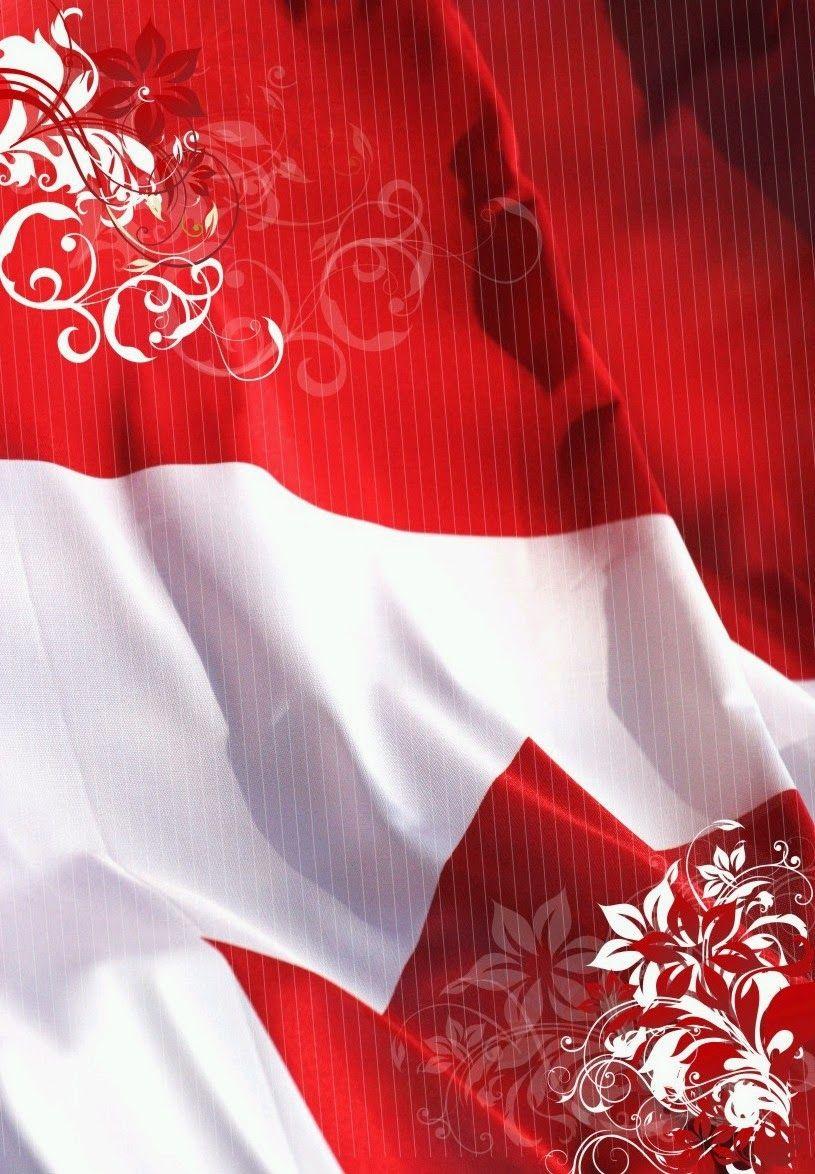 815x1174 Graafix !: Indonesia Flag Wallpaper