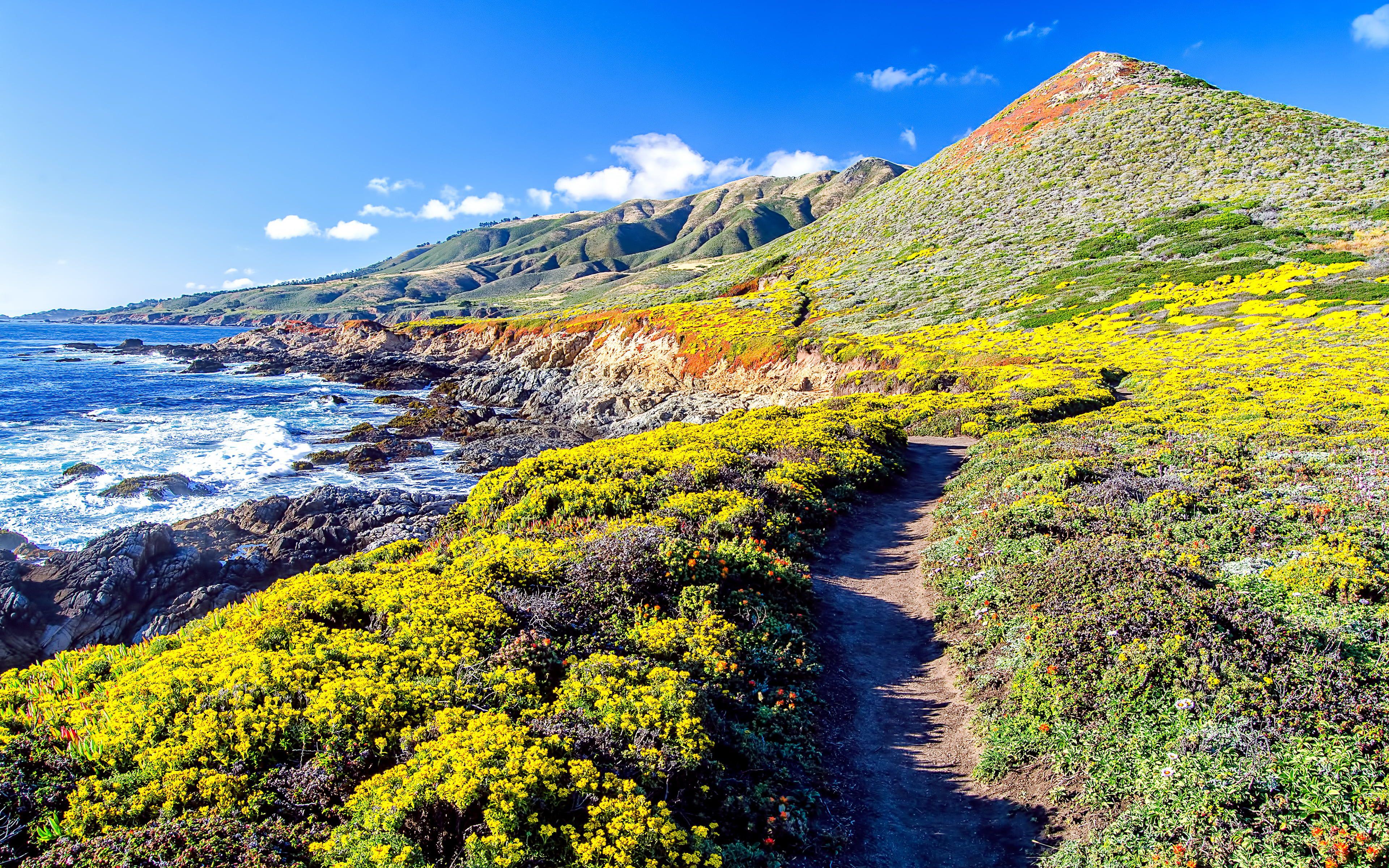 Pacific Coast Highway Wallpapers Top Free Pacific Coast Highway