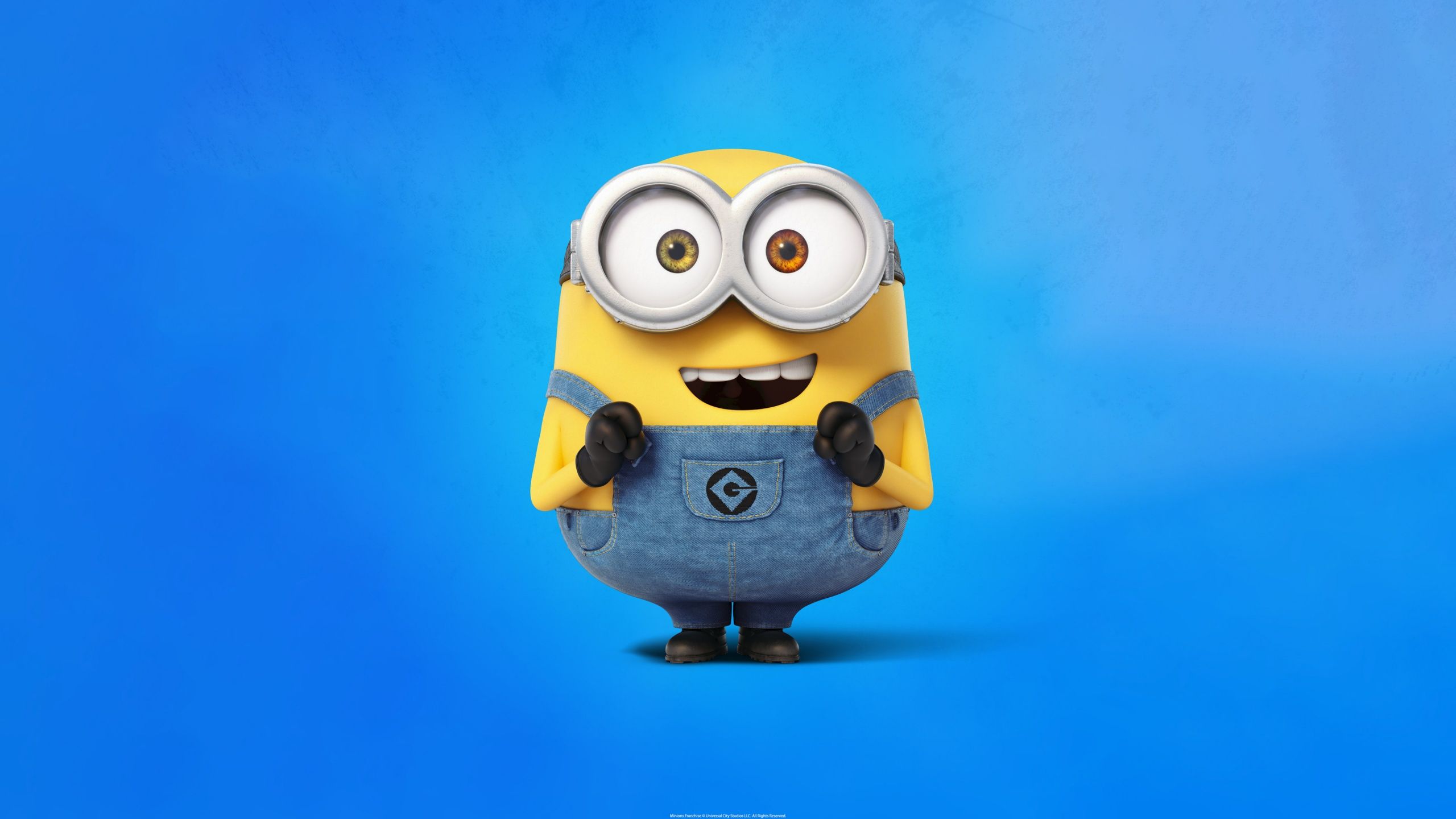 2560x1440 Bob the Minion 4K Wallpaper