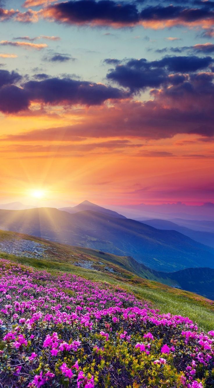 736x1334 Cheap Places to Travel When You're On a Budget #nature #wallpaper #hd p #naturewallpaperhd1080p On a budget and looking for some cheap places to travel around the world? From North America