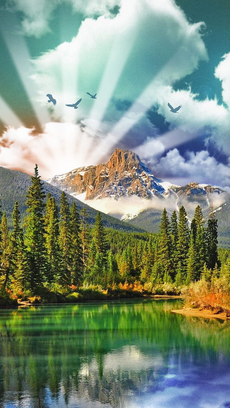 800x1422 Wonder World, eagles, earth day, forest, lakes, landscape, mountains, nature, HD phone wallpaper