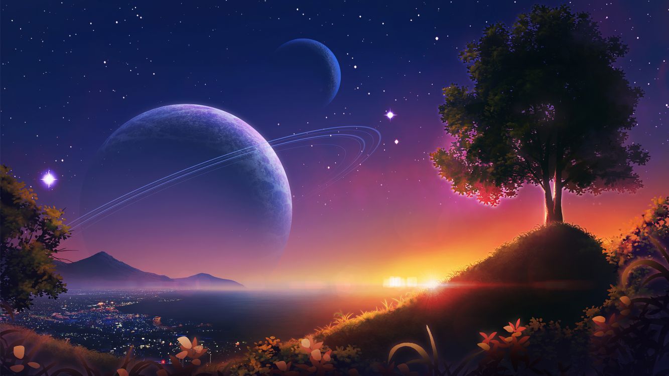 1333x750 Wallpaper Atmosphere, World, Light, Plant, Nature, Background Free Image