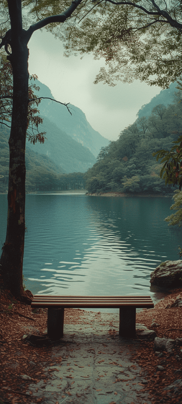 736x1632 Space and Environment Phone Wallpaper Made with Midjourney