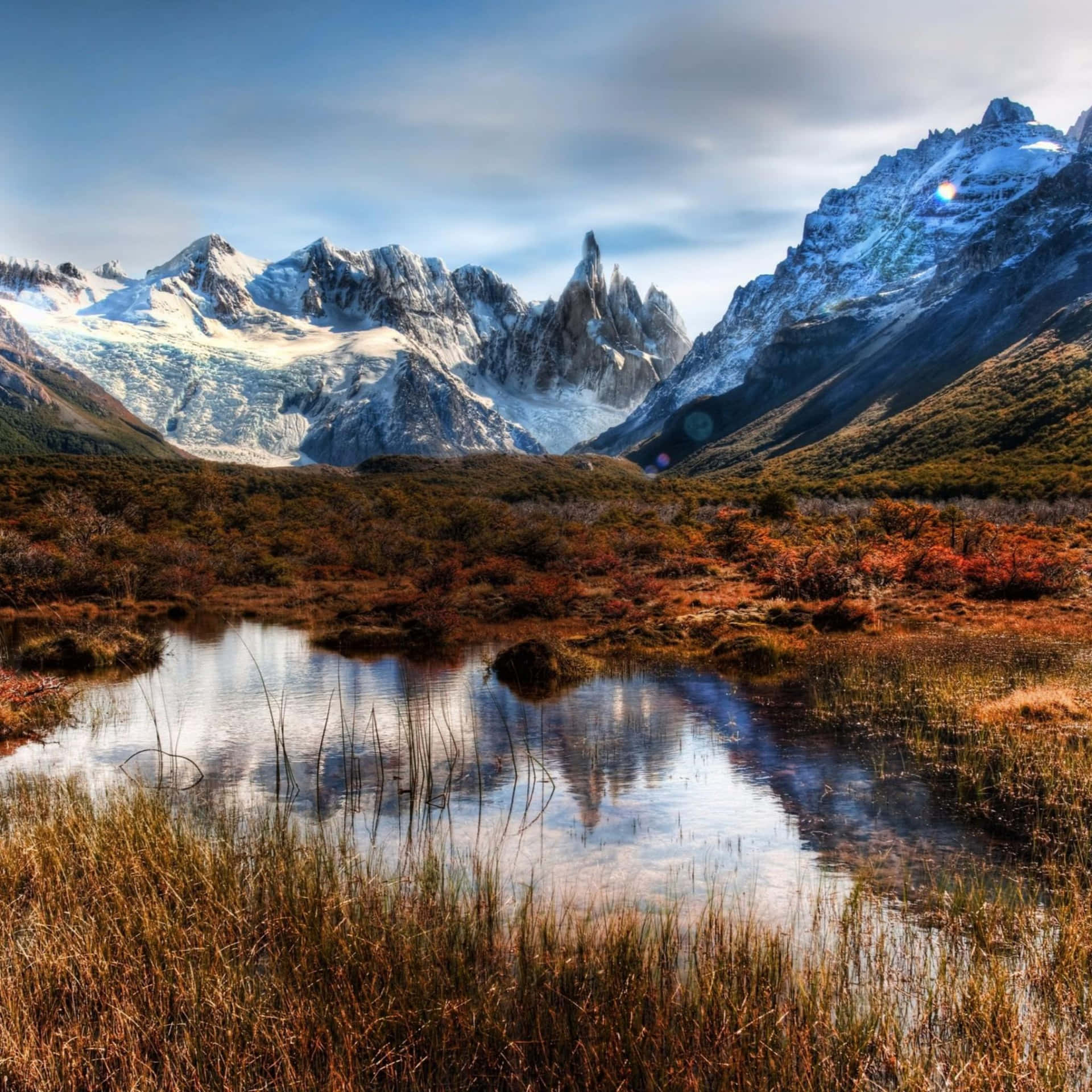 1920x1920 Download Enjoy the beauty of nature while connecting with the world online. Wallpaper