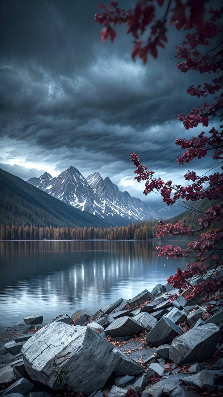 736x1308 Stunning And Dreamy Fall Autumn Phone Wallpaper