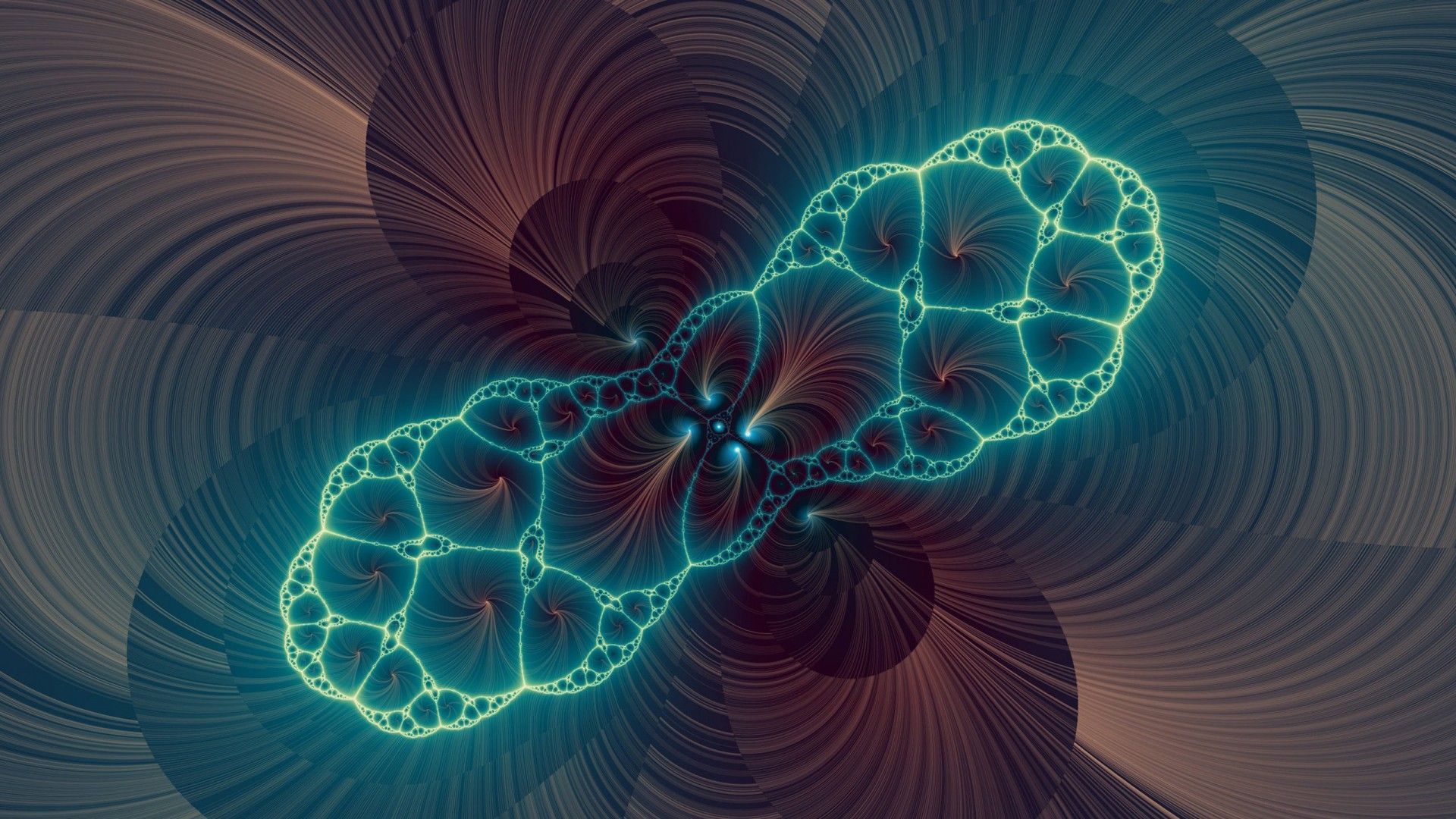 1920x1080 Cell Division HD Wallpaper Cellular Wallpaper