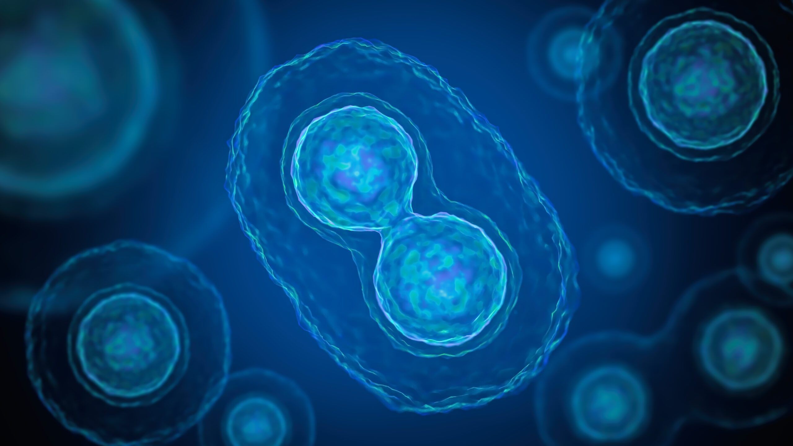 2560x1440 Mitosis division of bacteria. 3D rendered illustration. Fellows Program for Teacher Leadership