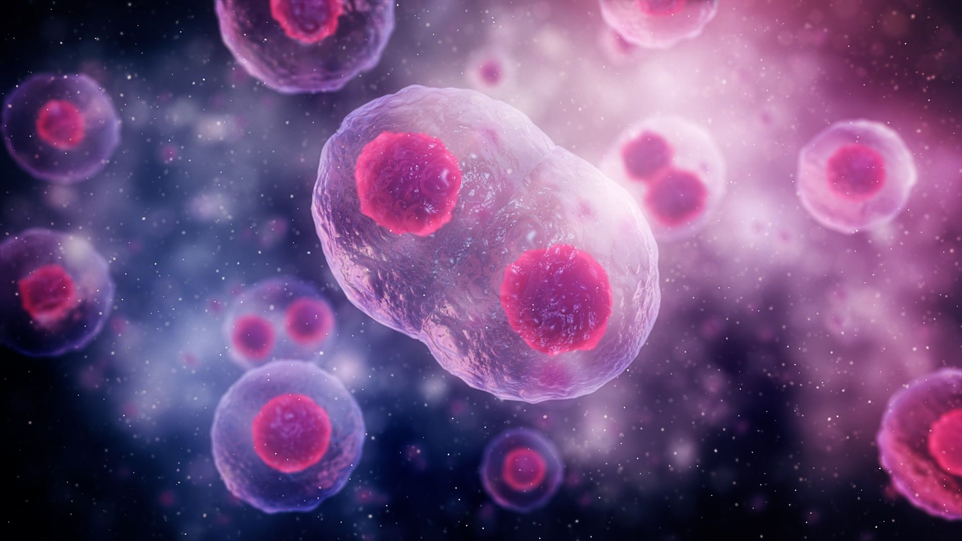 1920x1080 Cell Division Wallpaper