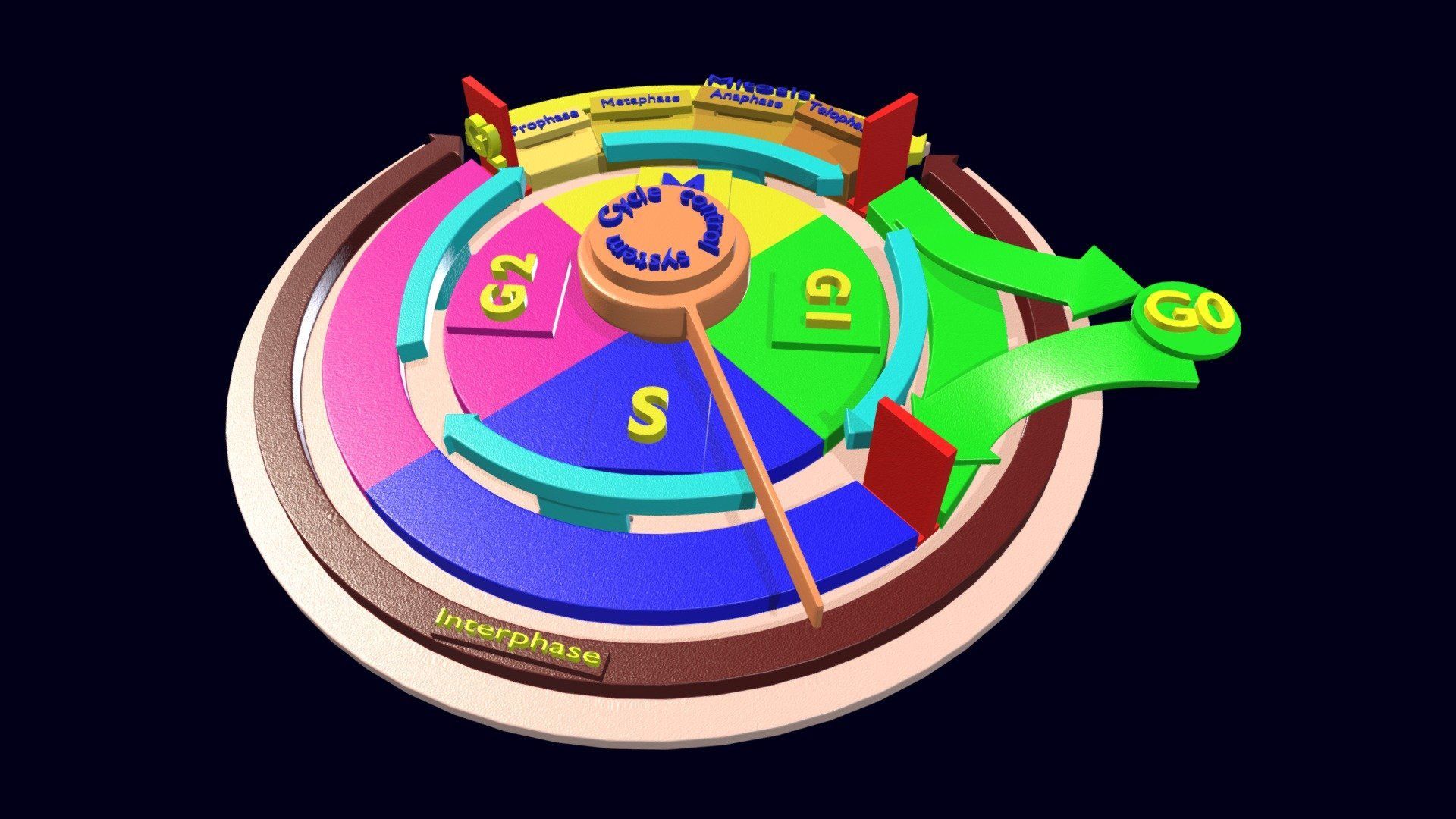 1920x1080 Cell Cycle phases and check points model by Deepankar.Parmar [35f5205]