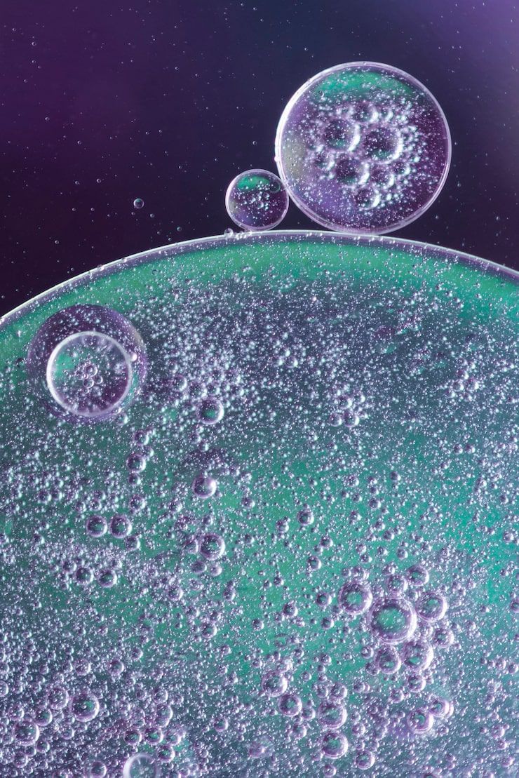 740x1109 Interphase Cell Cycle Image