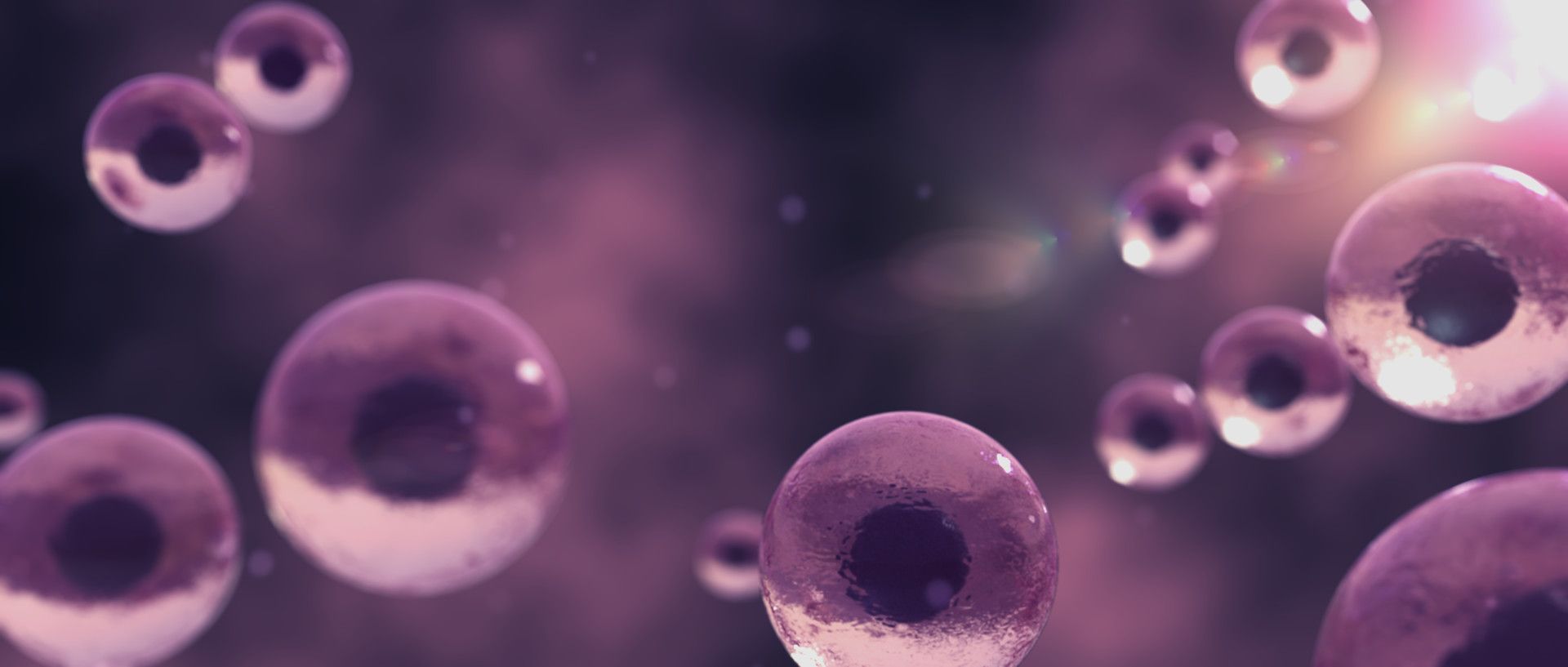 1920x817 Cell Division