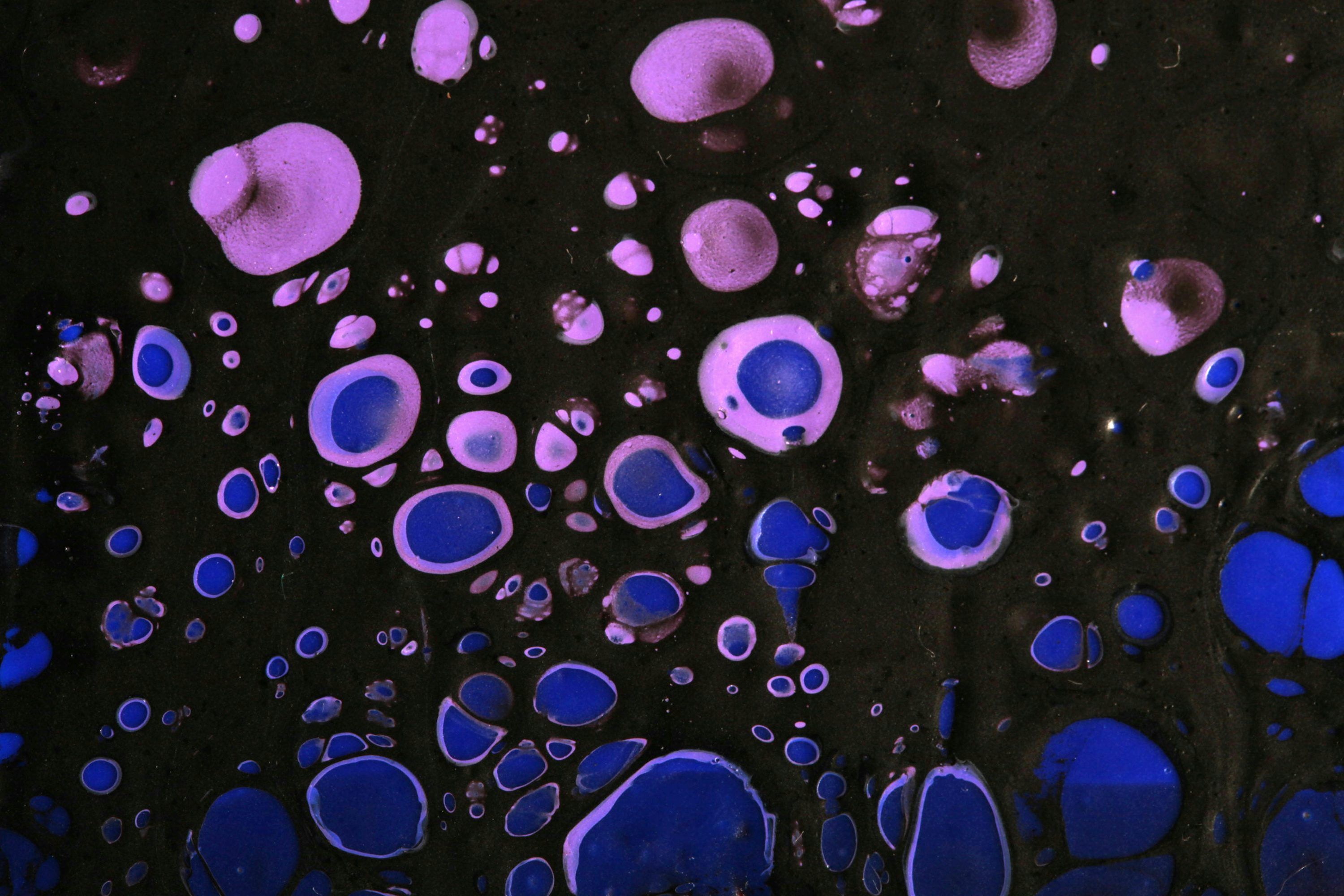 3000x2000 Cell Division Picture. Download Free Image