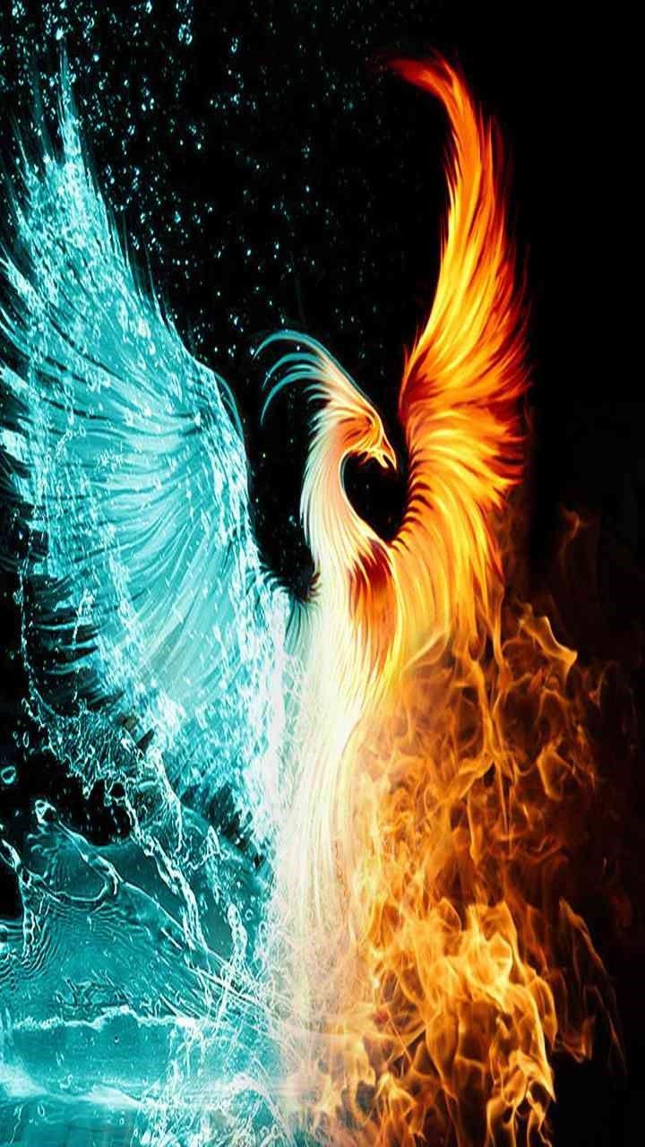 Abstract Phoenix Wallpapers - Top Free Abstract Phoenix Backgrounds ...