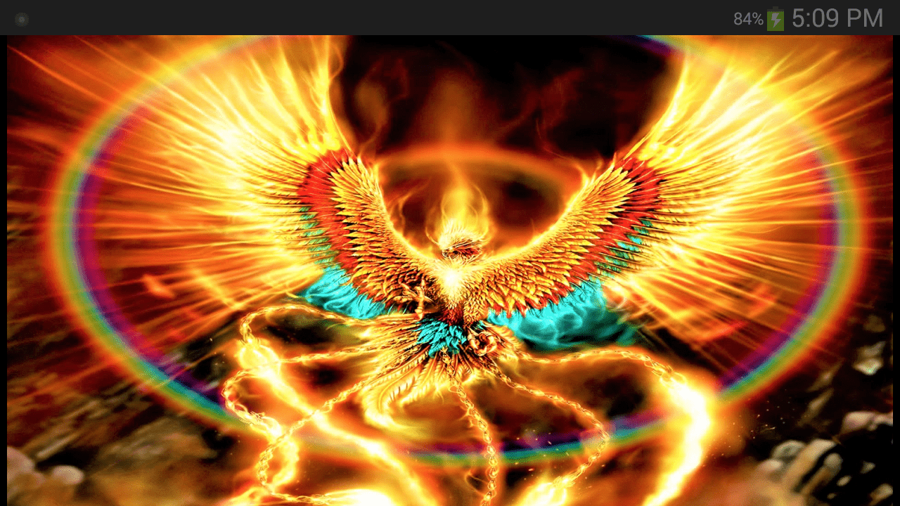 Centered High quality ultra fine detail bright bold colors sharp bold lines  fire and ashes fire Phoenix bird  Playground AI