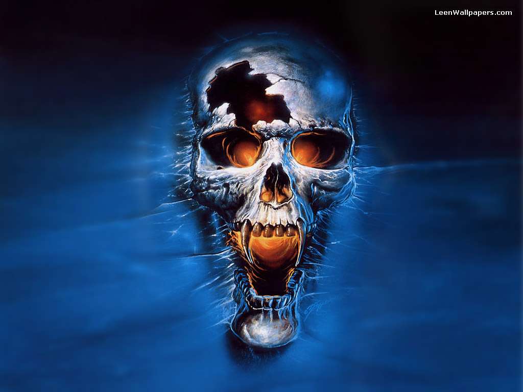 1024x768 It's HD. Animals Funny Wallpaper: Skull Wallpaper