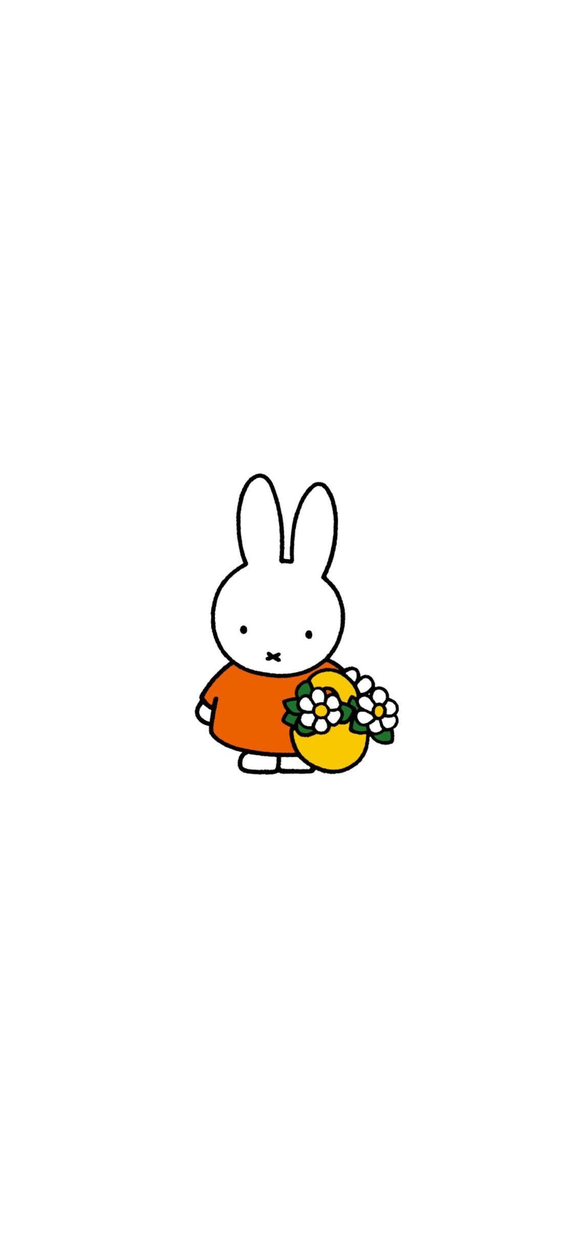 Miffy Wallpapers Top Free Miffy Backgrounds Wallpaperaccess