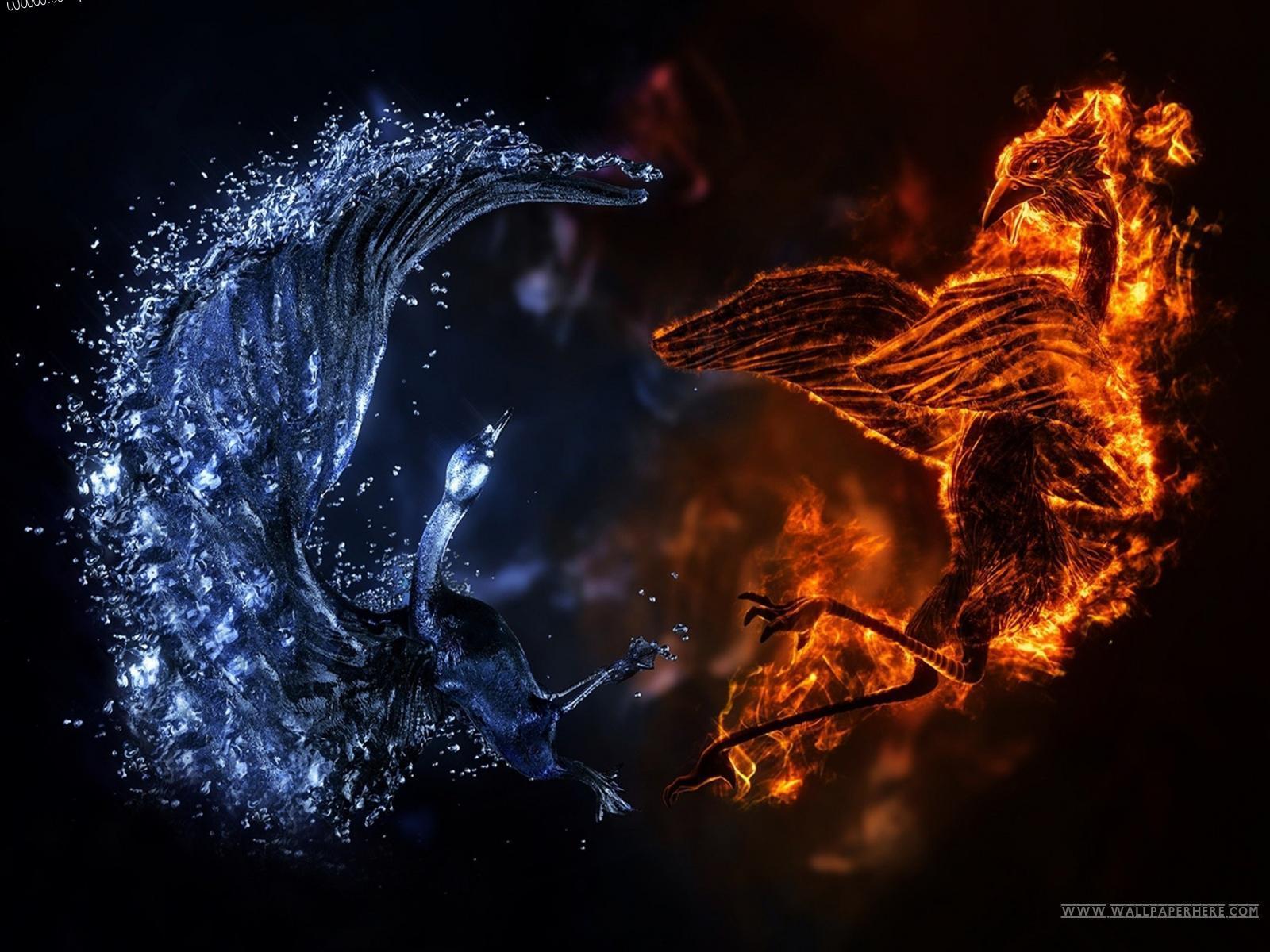1600x1200 Download fire And Water Elemental Birds Wallpaper