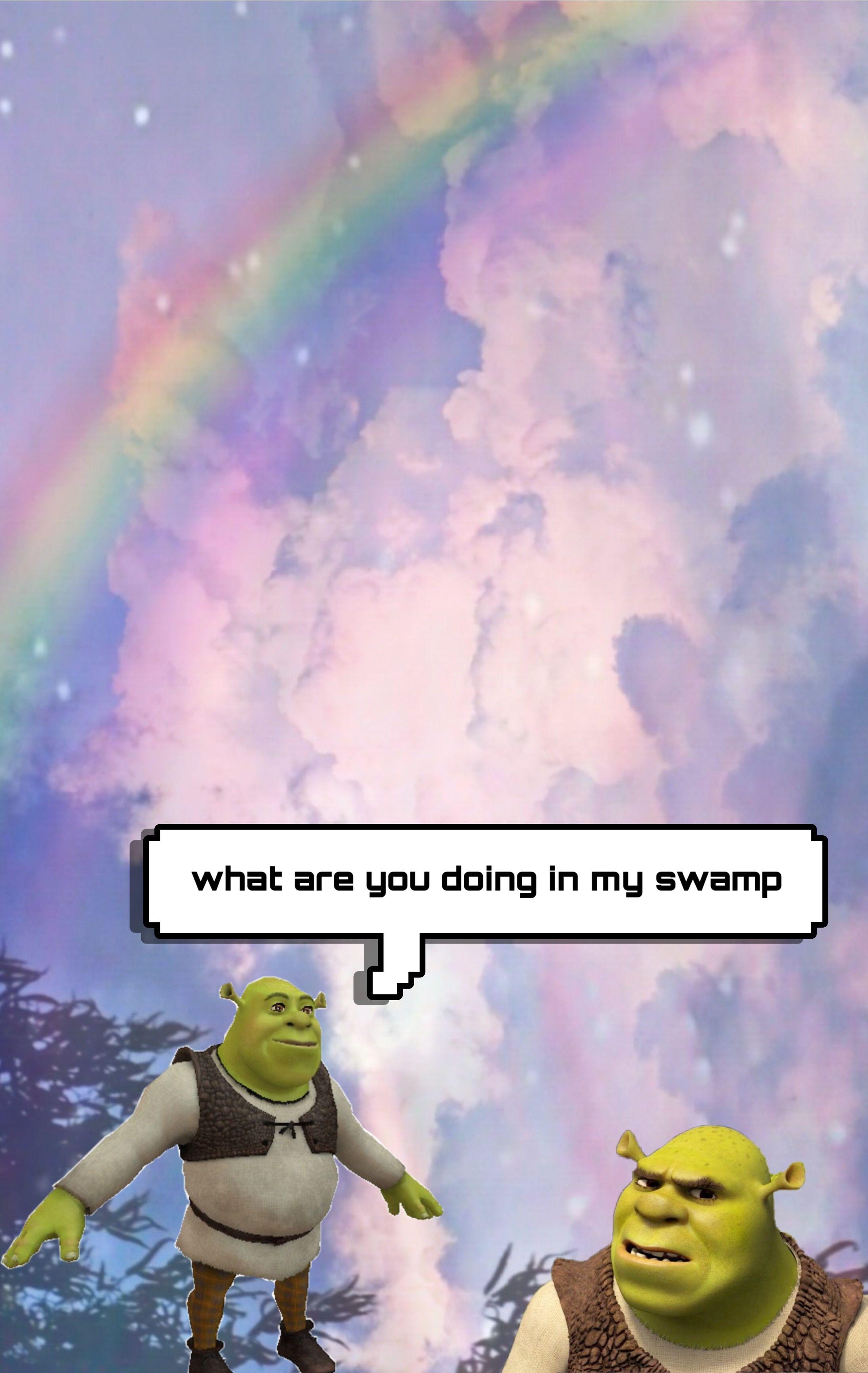 Shrek Meme Funny Wallpaper 74150 1920x1080px