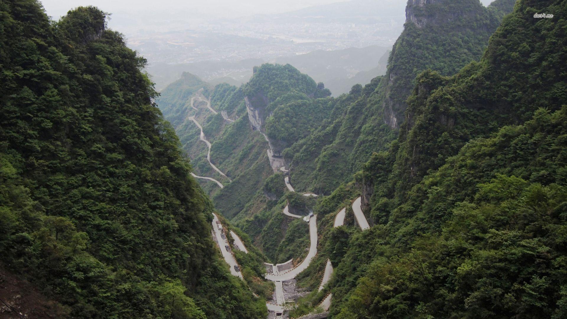 1920x1080 Heaven Linking Avenue. Nature Wallpaper, HD Nature Wallpaper, Nature
