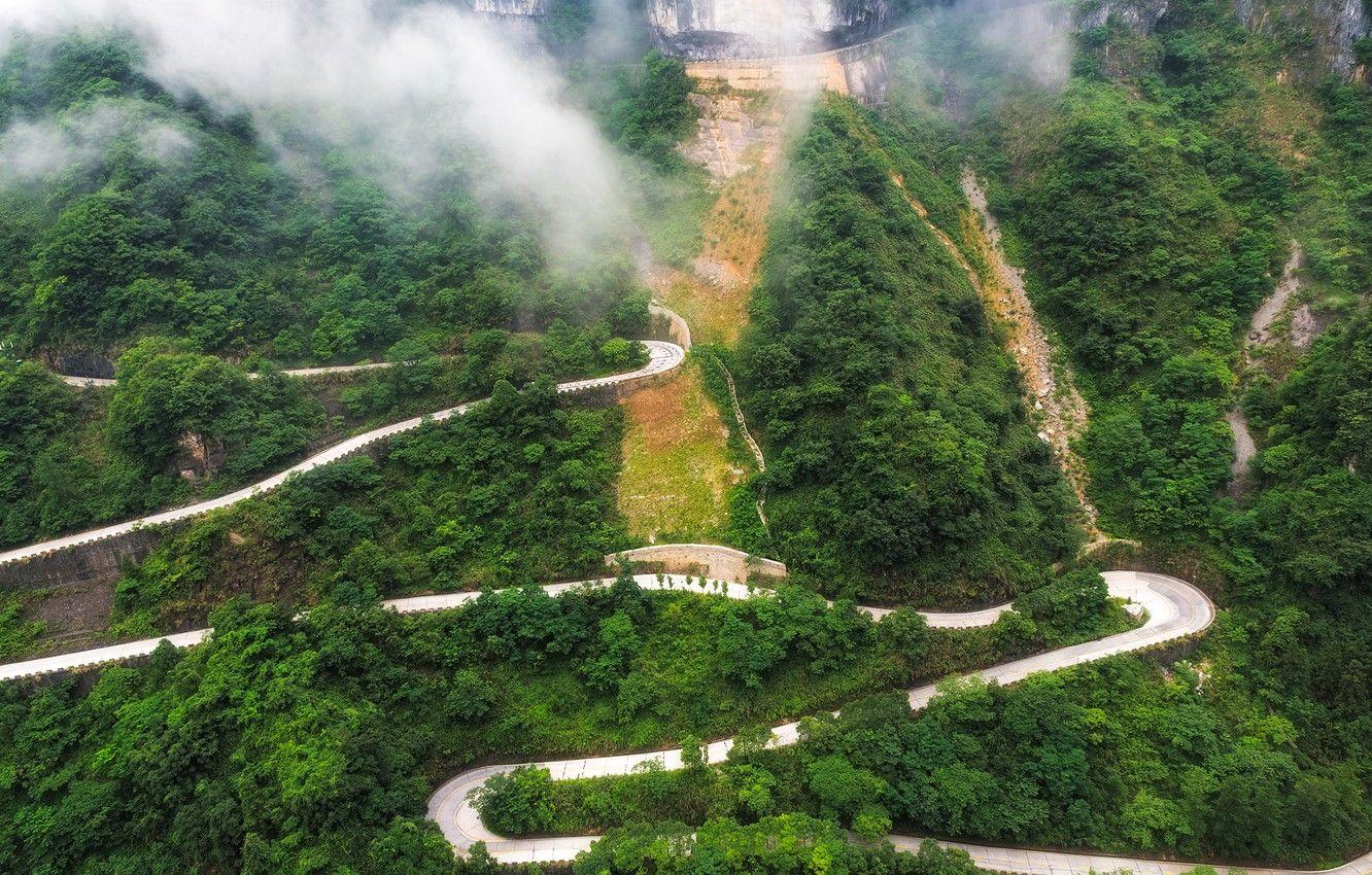 1332x850 Wallpaper road, greens, forest, trees, fog, mountain, China