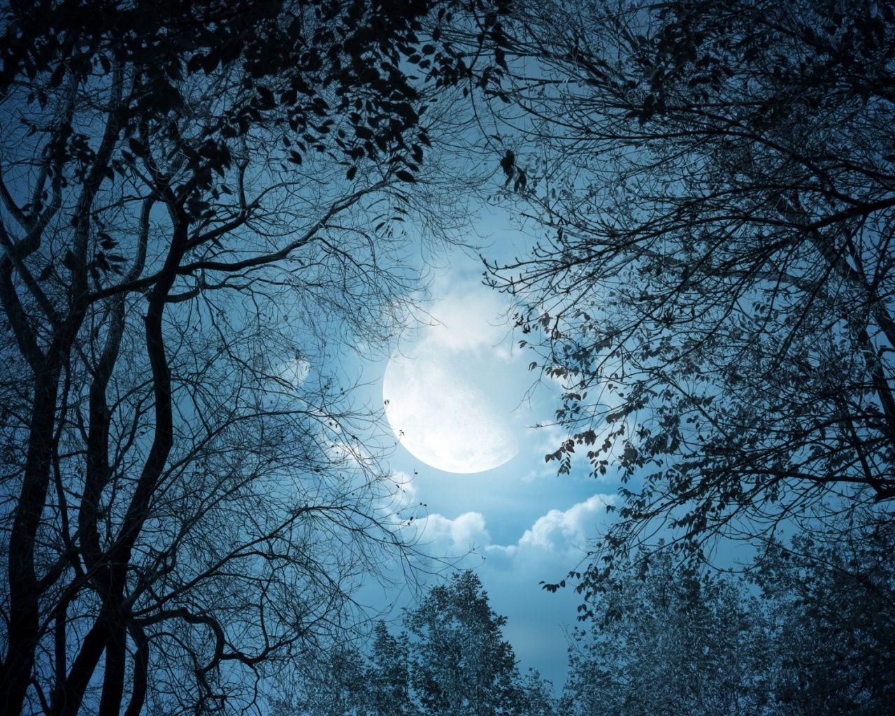 Dark Night Moon Wallpapers - Top Free Dark Night Moon Backgrounds ...