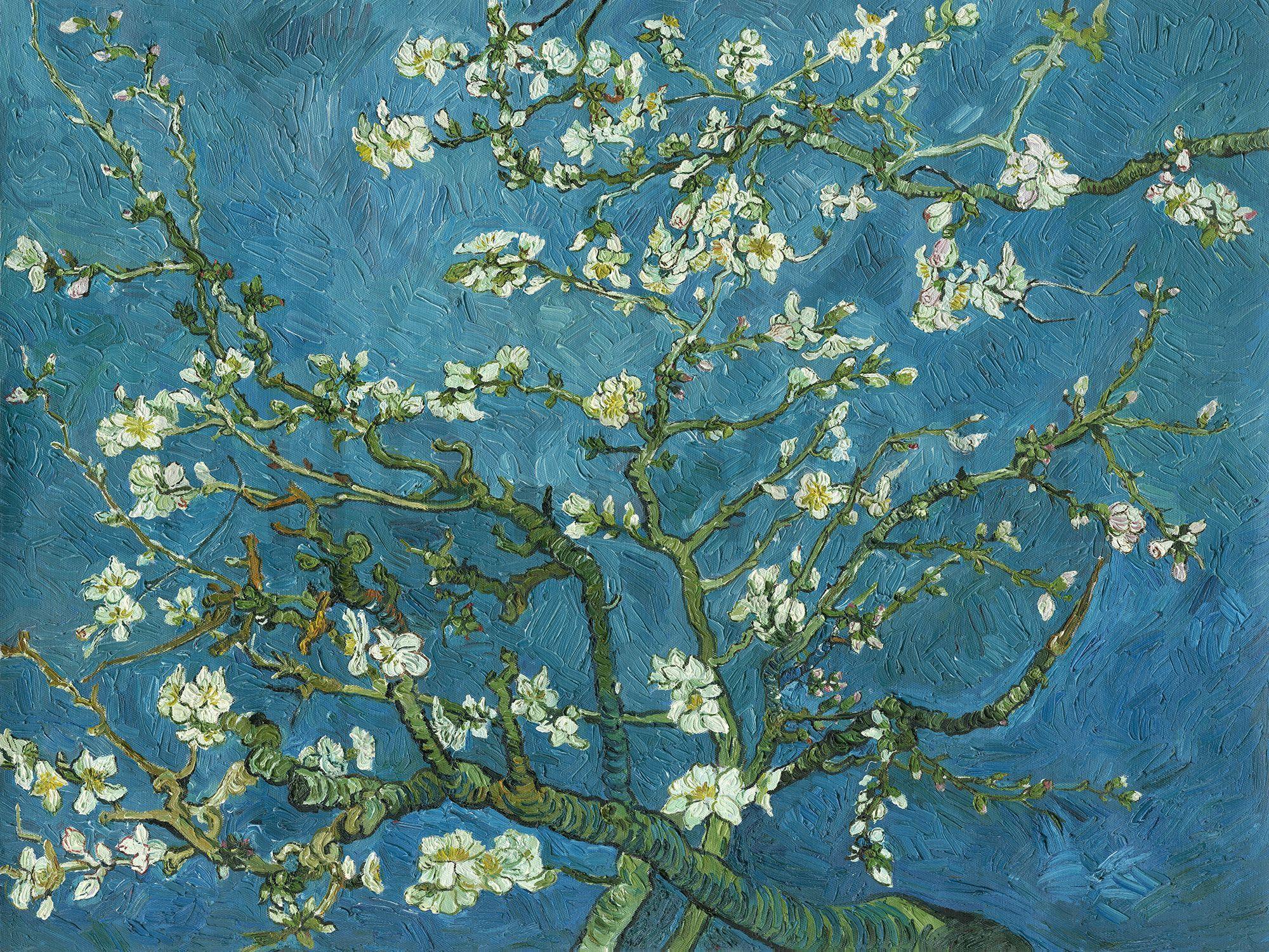 Almond Tree Van Gogh Wallpapers  Top Free Almond Tree Van Gogh Backgrounds  WallpaperAccess