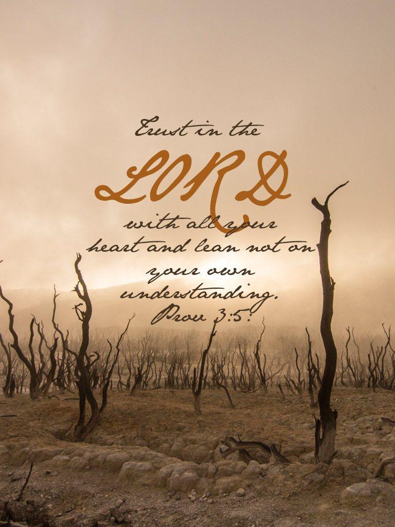 768x1024 Best Bible Words Verses HD Wallpaper & Pic